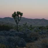 Review photo of Hidden Valley Campground — Joshua Tree National Park by Amanda P., August 29, 2016
