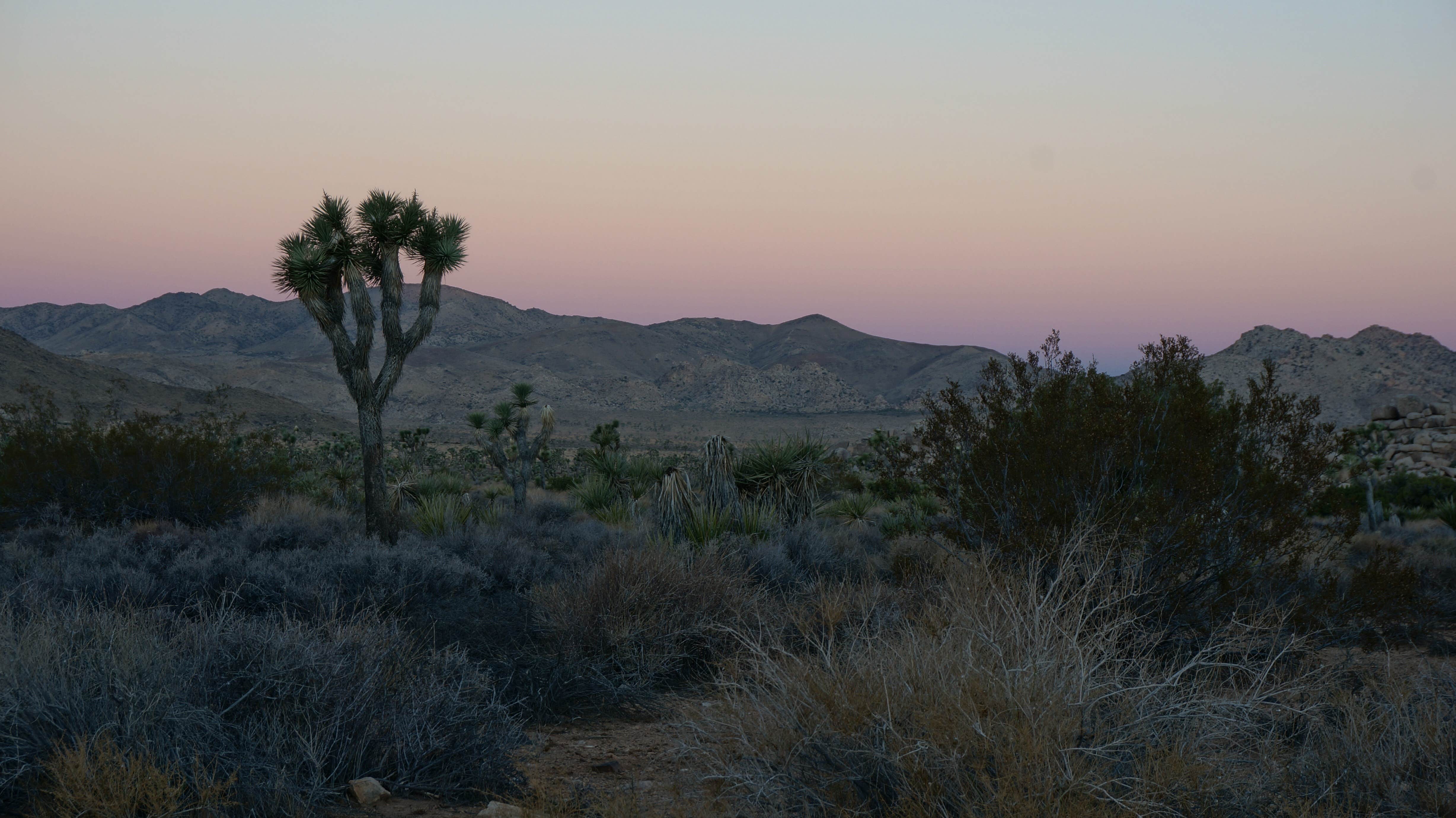 Camper submitted image from Hidden Valley Campground — Joshua Tree National Park - 2