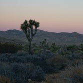 Review photo of Hidden Valley Campground — Joshua Tree National Park by Amanda P., August 29, 2016