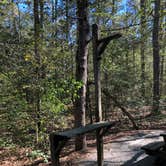 Review photo of Shad Landing Campground by Rhonda S., May 3, 2019