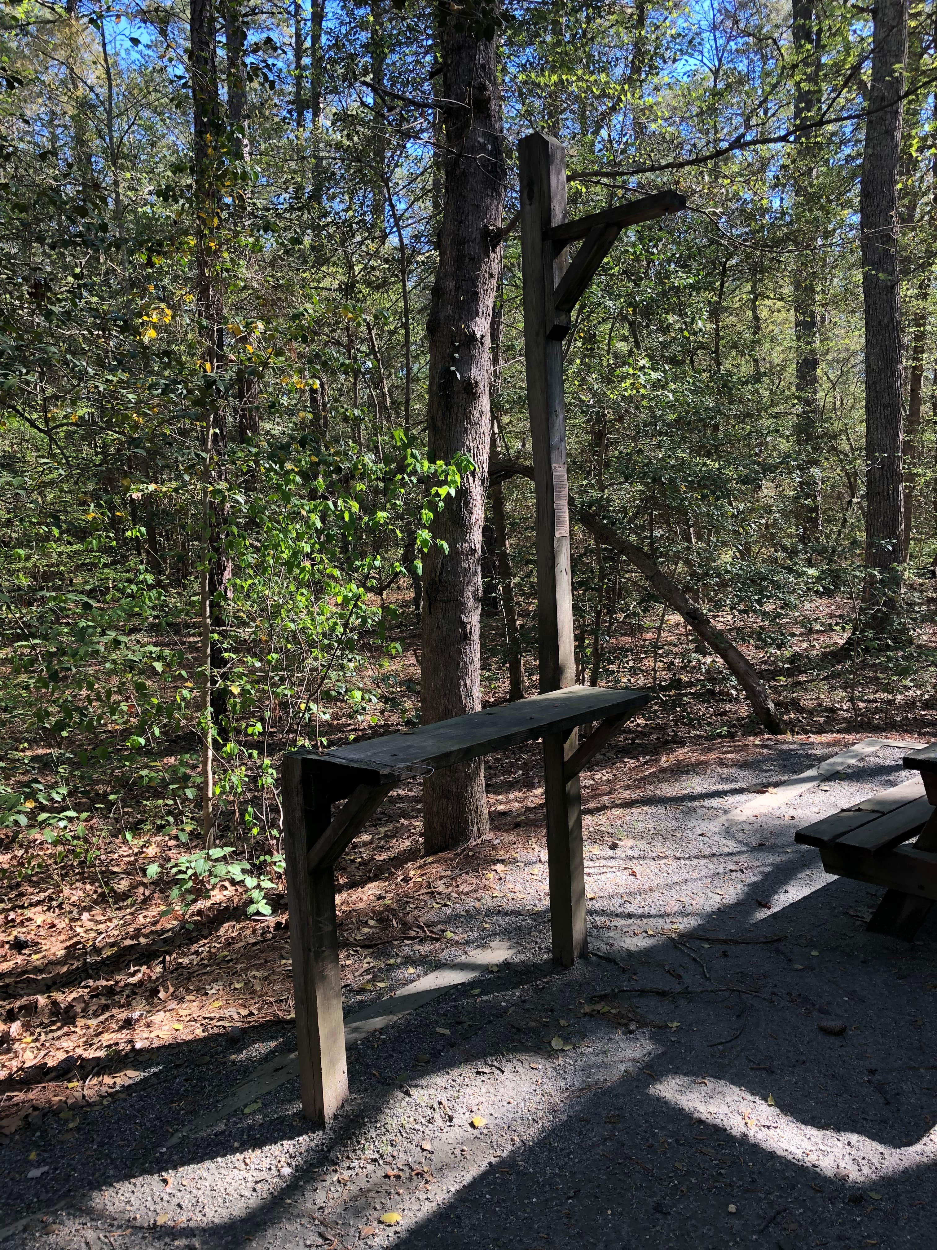 Camper submitted image from Shad Landing Campground - 4