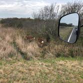 Review photo of Oceanside Assateague Campground — Assateague Island National Seashore by Rhonda S., May 3, 2019