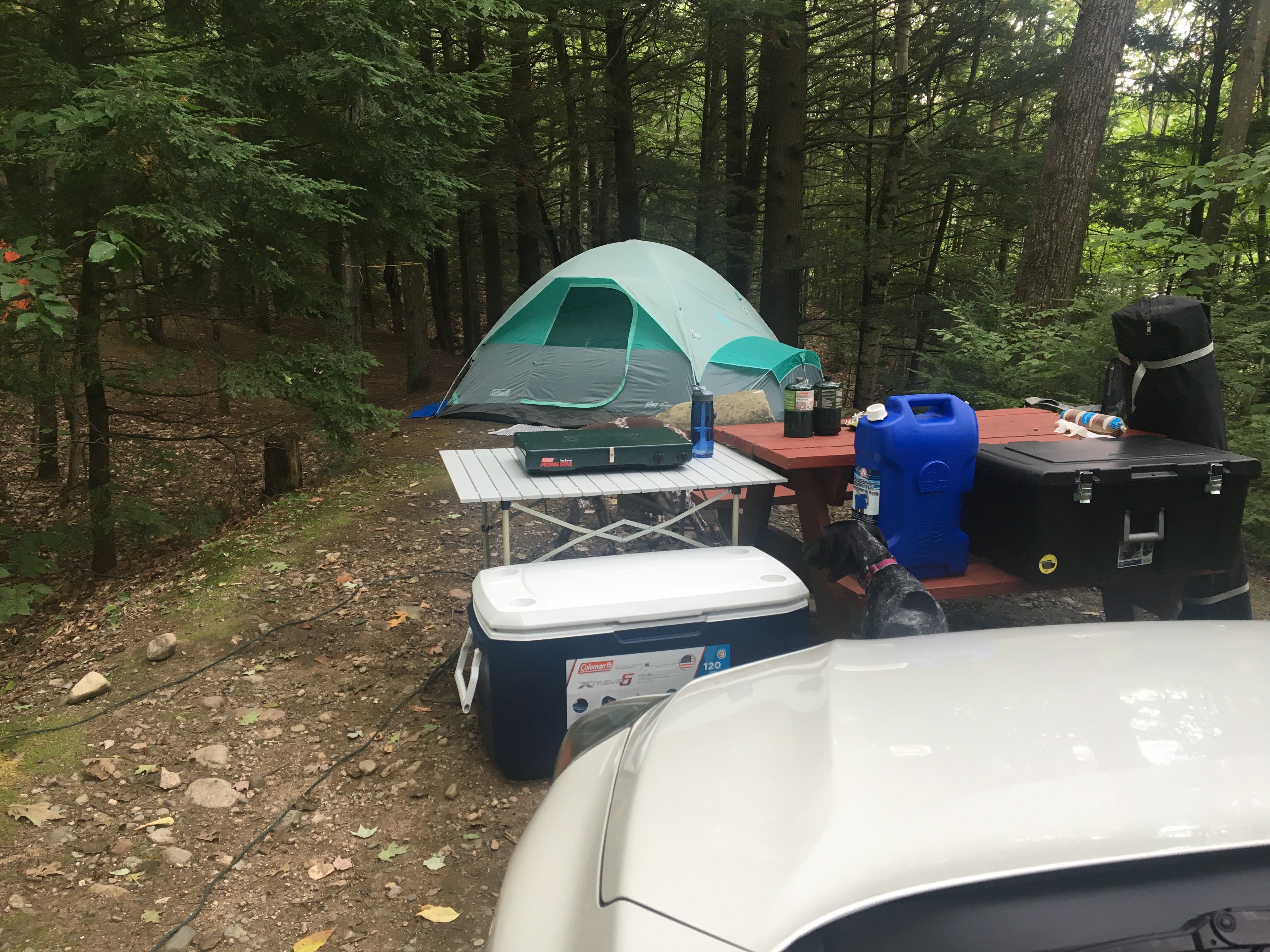 Camper submitted image from Timberland Campground - 3