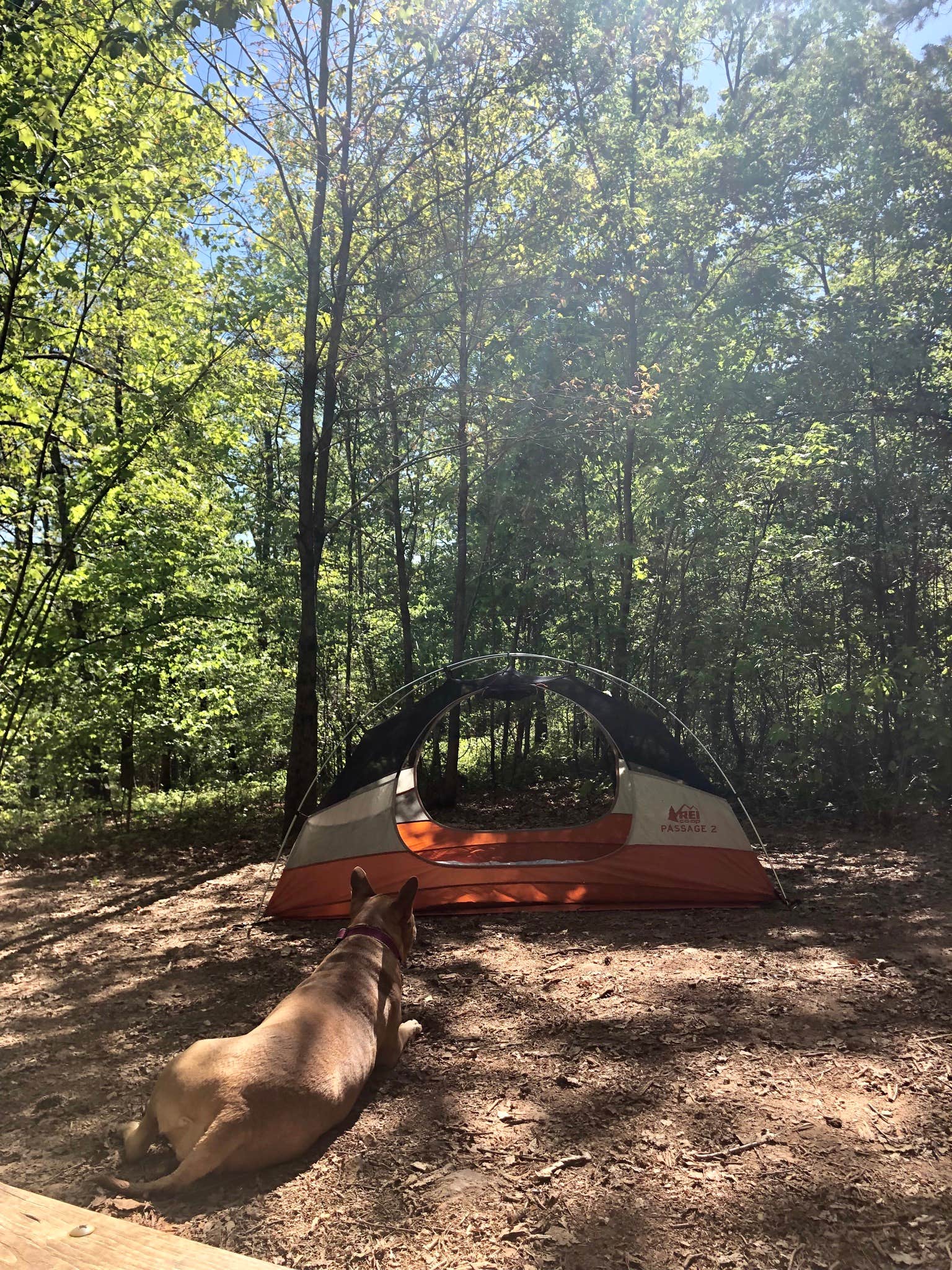 Meredith P.'s photo at Don Carter State Park Campground near Murrayville, GA