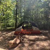 Review photo of Don Carter State Park Campground by Meredith P., May 3, 2019