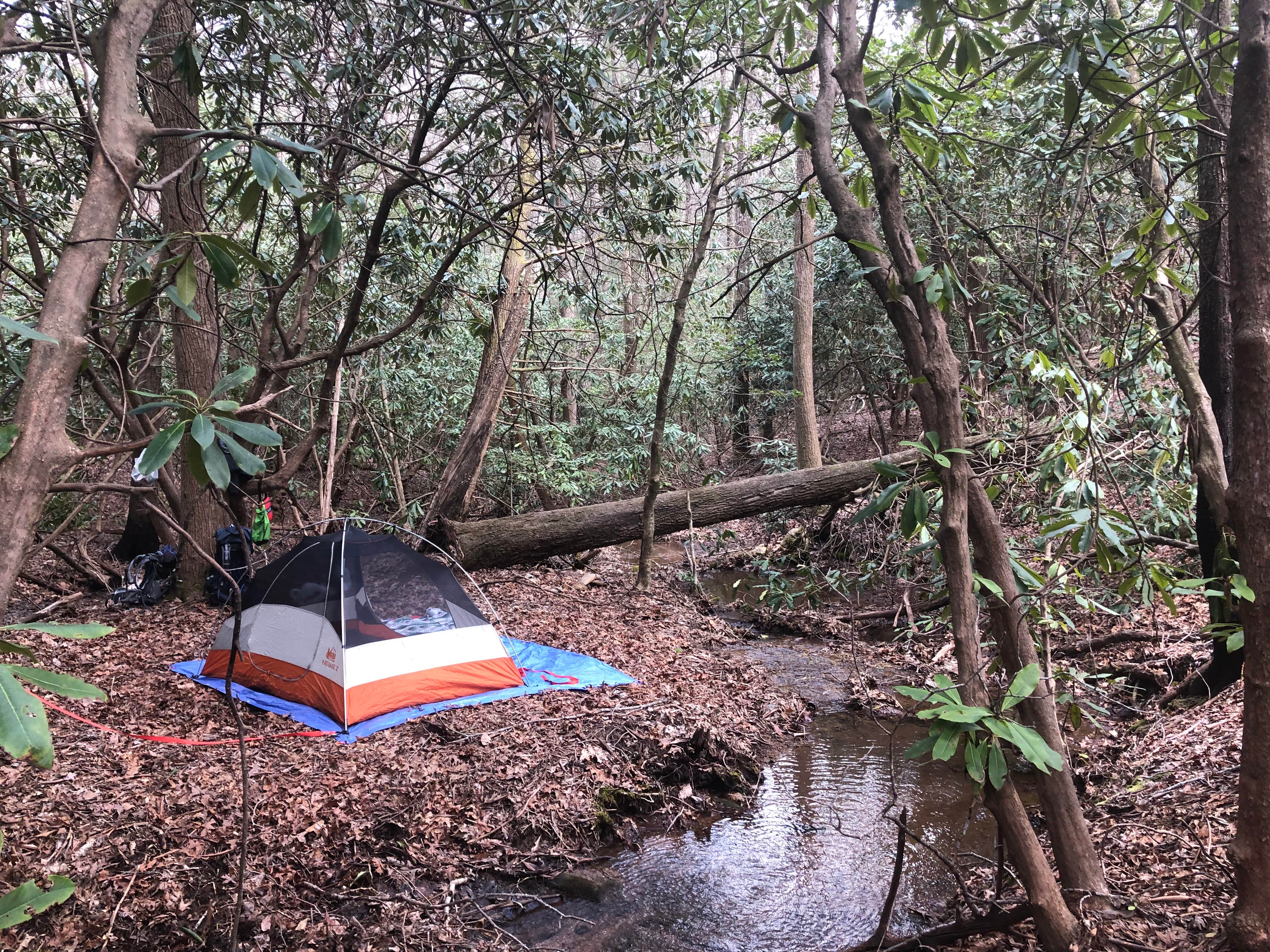 Meredith P.'s photo of tent camping at Raven Cliff Falls near Toccoa, GA