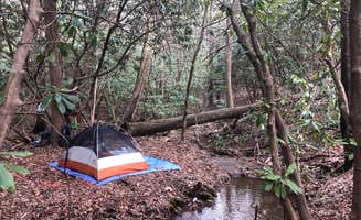 Meredith P.'s photo of tent camping at Raven Cliff Falls near Toccoa, GA