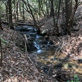 Review photo of Raven Cliff Falls by Meredith P., May 3, 2019