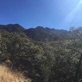 Review photo of Bog Springs Campground by Ashley A., August 29, 2016
