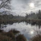 Review photo of Fort Stevens State Park Campground by Mark W., March 15, 2024