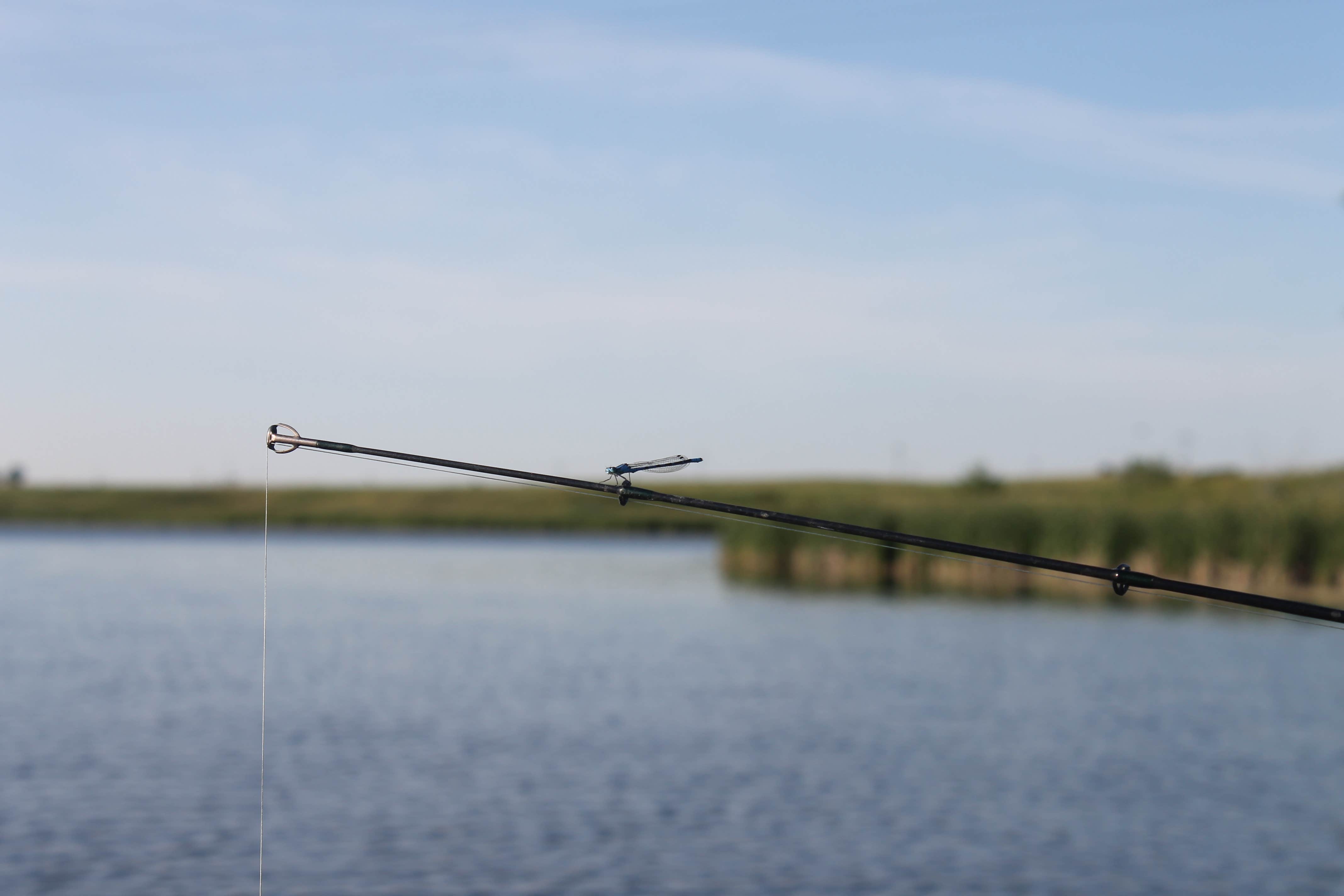 Camping near Hovde Resort: McVille Dam Campground, Larimore, North Dakota
