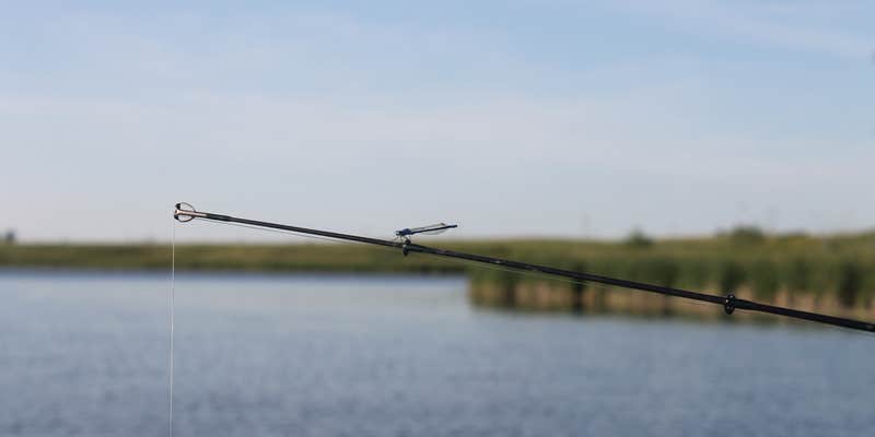 Camper submitted image from McVille Dam Campground