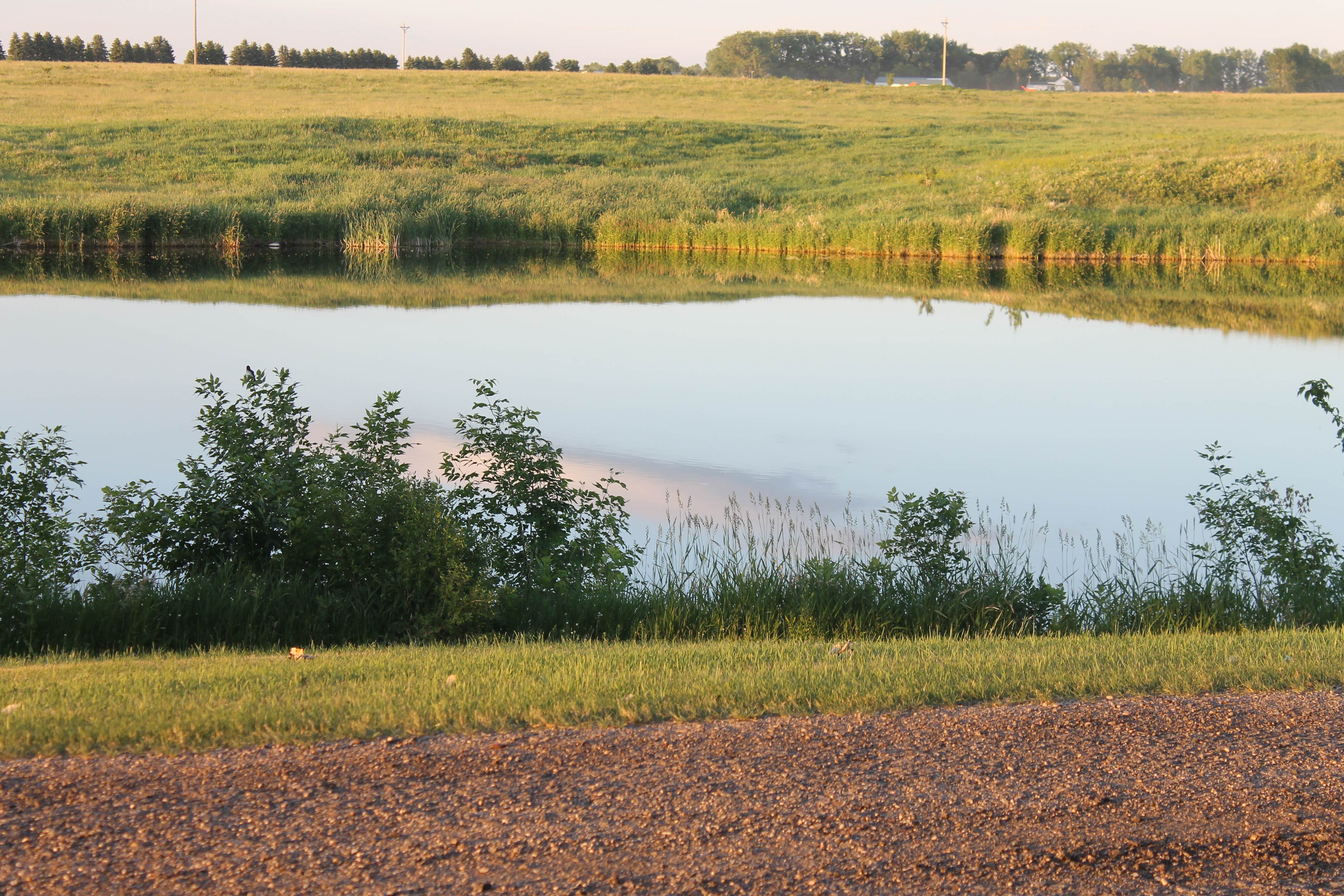 Camper-submitted photo at McVille Dam Campground near Homme Lake
