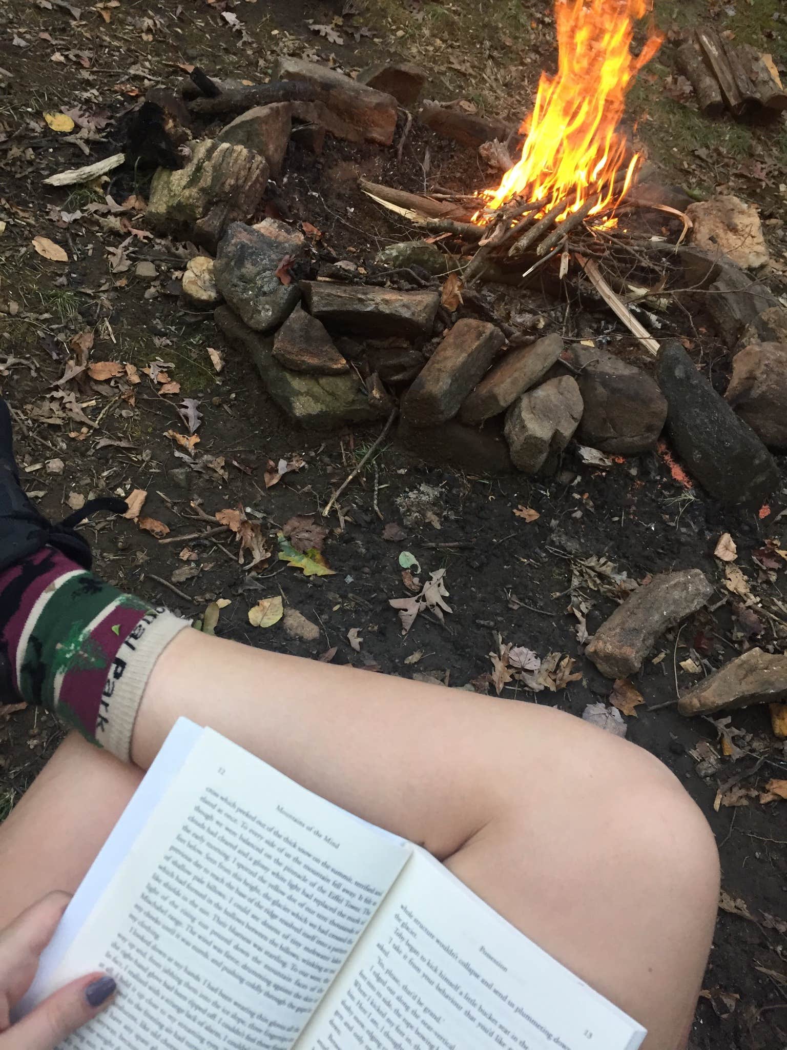 Camper-submitted photo at Wildcat Creek Campground #2 Upper near Sautee Nacoochee, GA