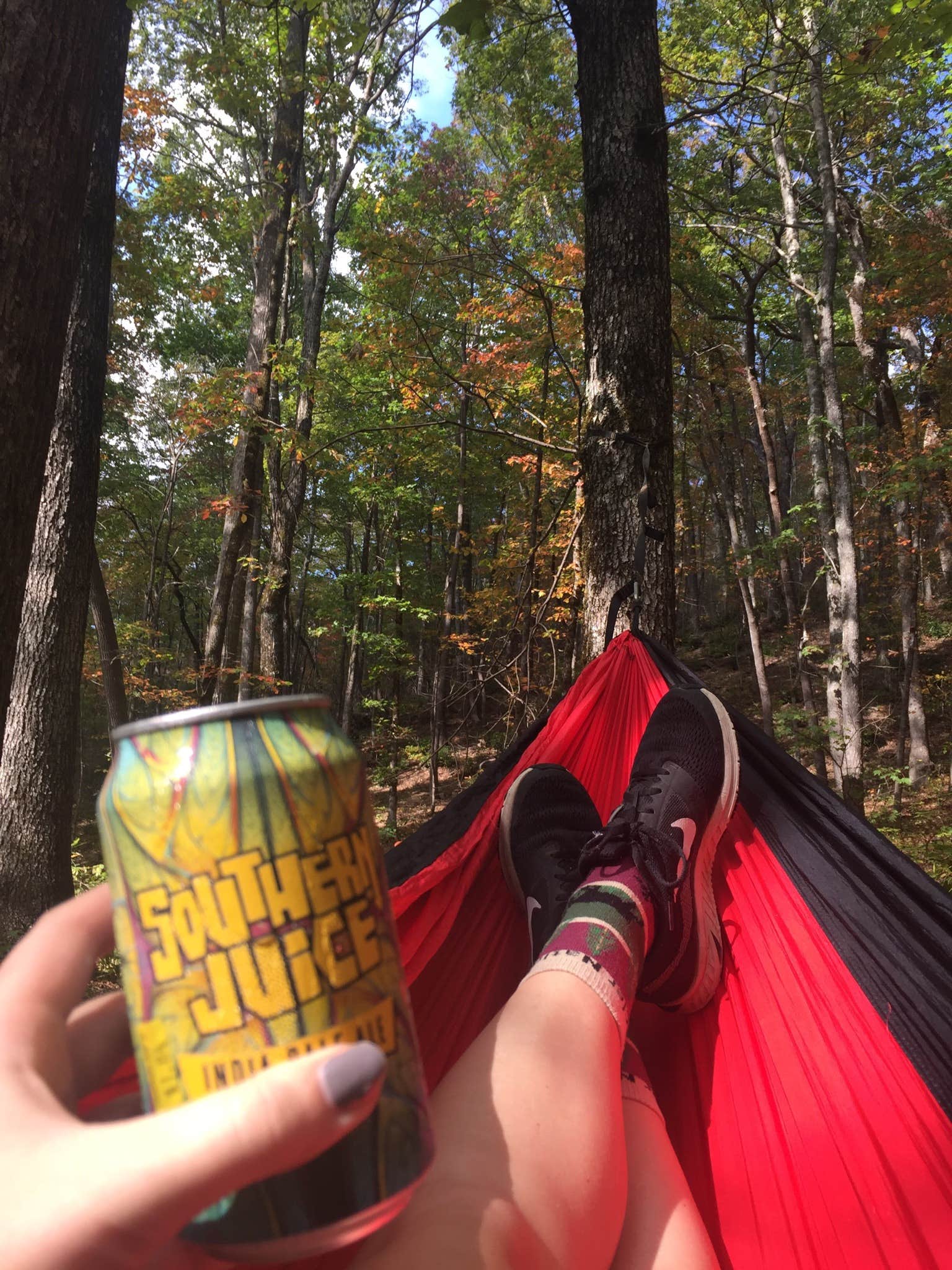 Camper-submitted photo at Wildcat Creek Campground #2 Upper near Sautee Nacoochee, GA