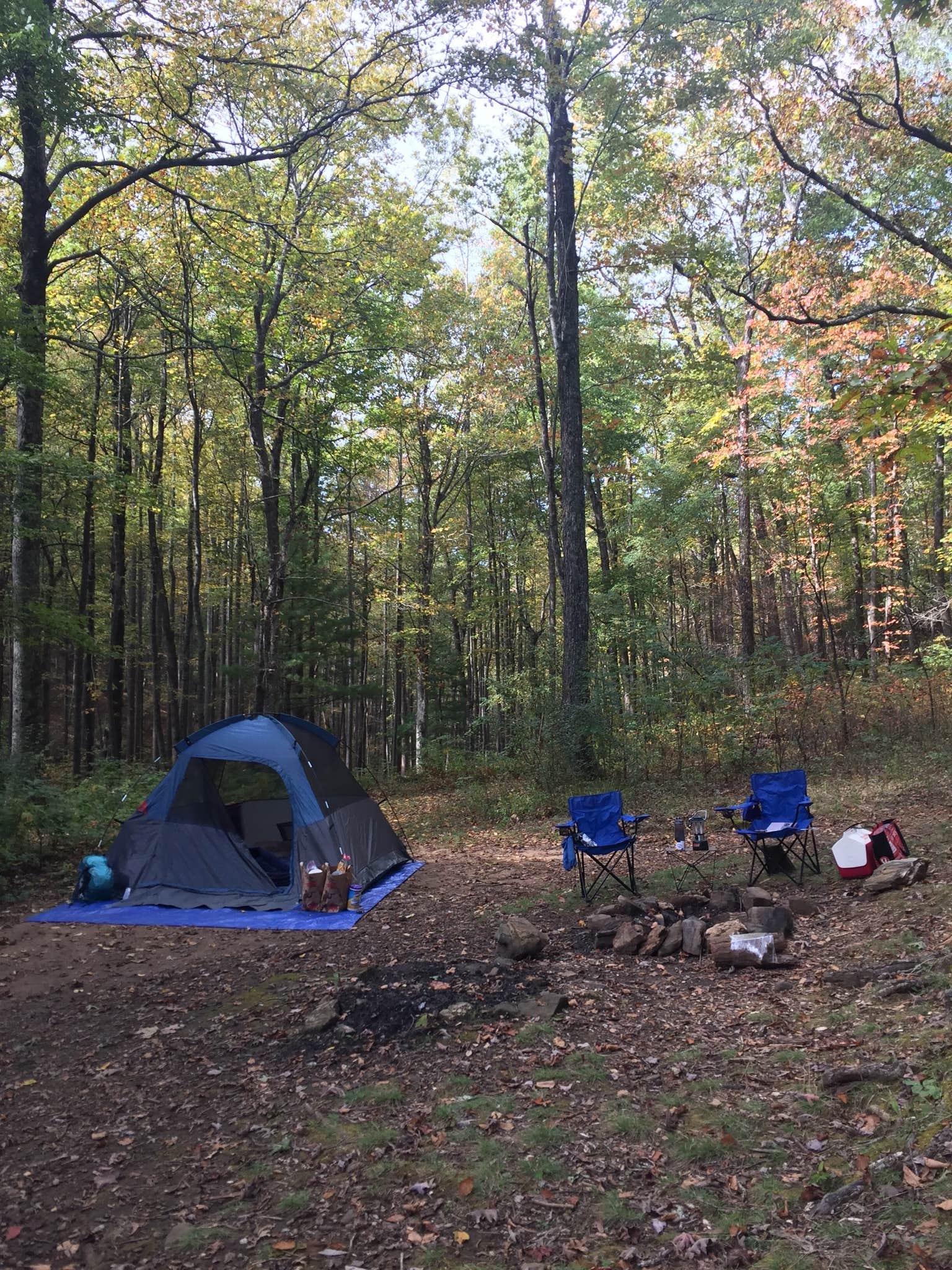 Meredith P.'s photo of tent camping at Wildcat Creek Campground #2 Upper near Sautee Nacoochee, GA