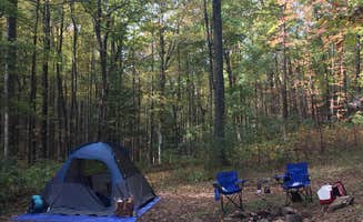 Meredith P.'s photo of tent camping at Wildcat Creek Campground #2 Upper near Sautee Nacoochee, GA