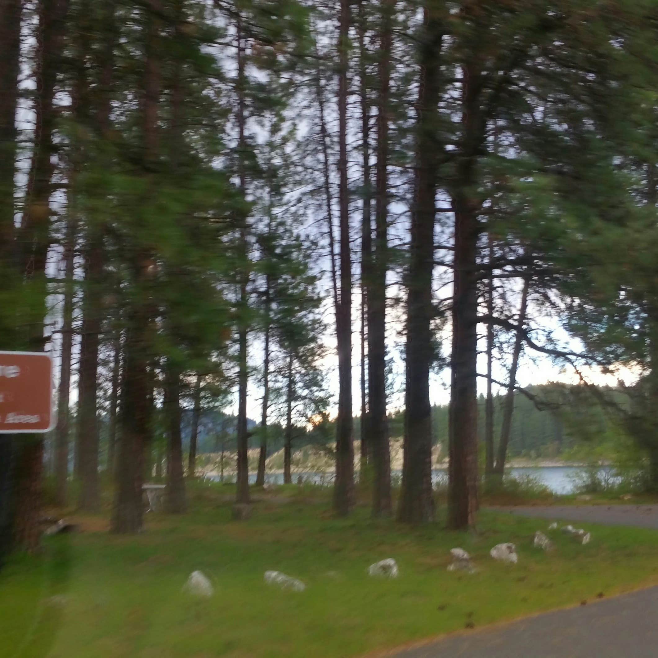 Snag Cove Campground Lake Roosevelt National Rec Area Camping The Dyrt