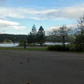 Review photo of Snag Cove Campground - Lake Roosevelt National Rec Area by Andrea R., May 1, 2019