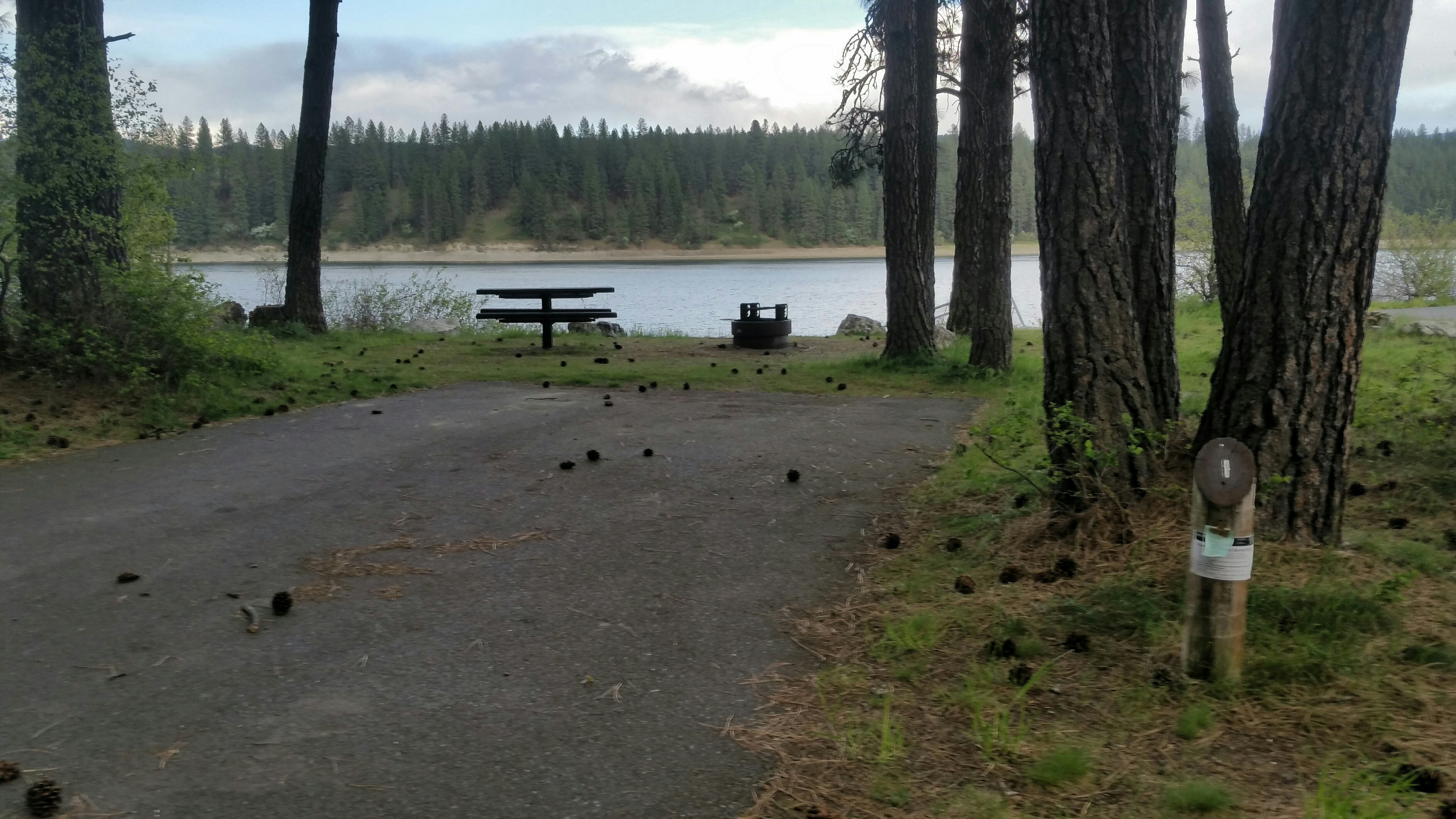 Camper submitted image from Snag Cove Campground - Lake Roosevelt National Rec Area - 4