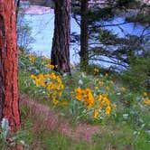 Review photo of Kettle River Campground — Lake Roosevelt National Recreation Area by Andrea R., May 1, 2019