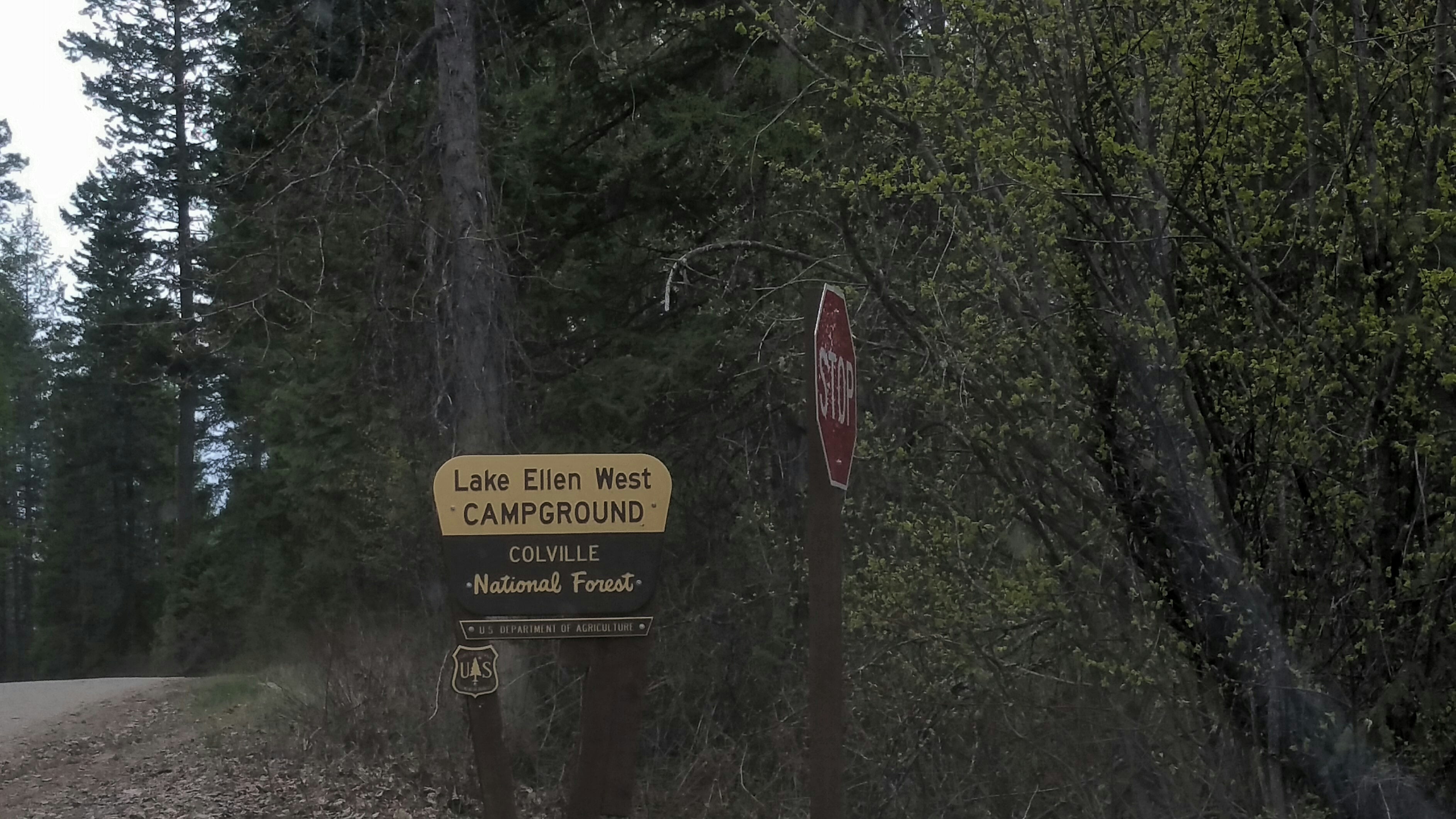 Camper submitted image from Lake Ellen West Campground - 5