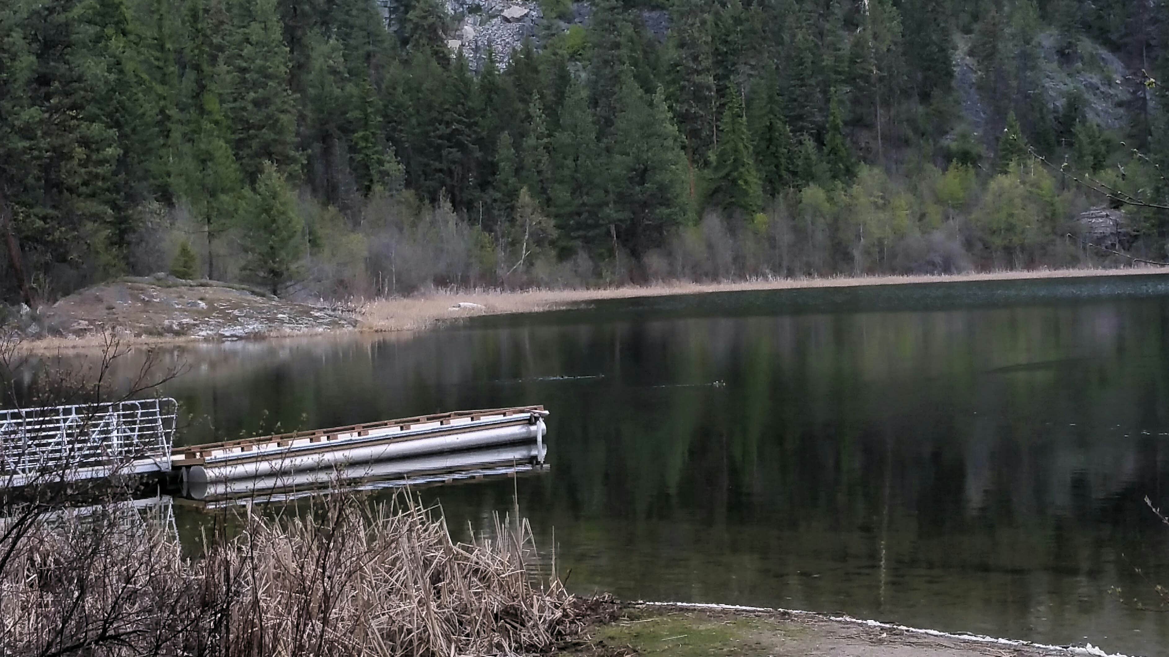 Camper-submitted photo at Lake Ellen West Campground near Inchelium, WA