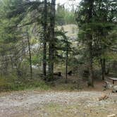 Review photo of Lake Ellen West Campground by Andrea R., May 3, 2019