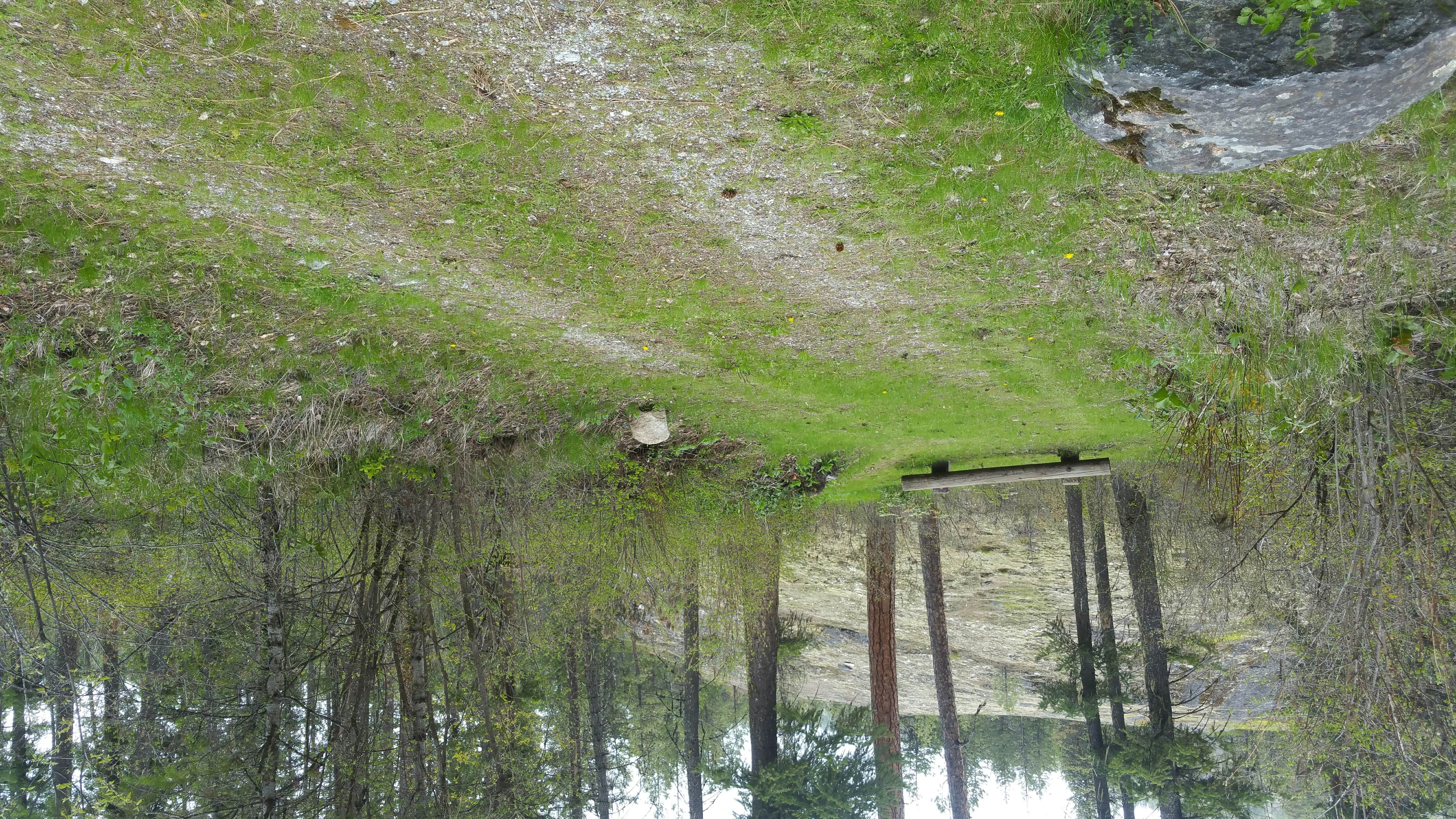 Camper-submitted photo at Lake Ellen Campground near Inchelium, WA