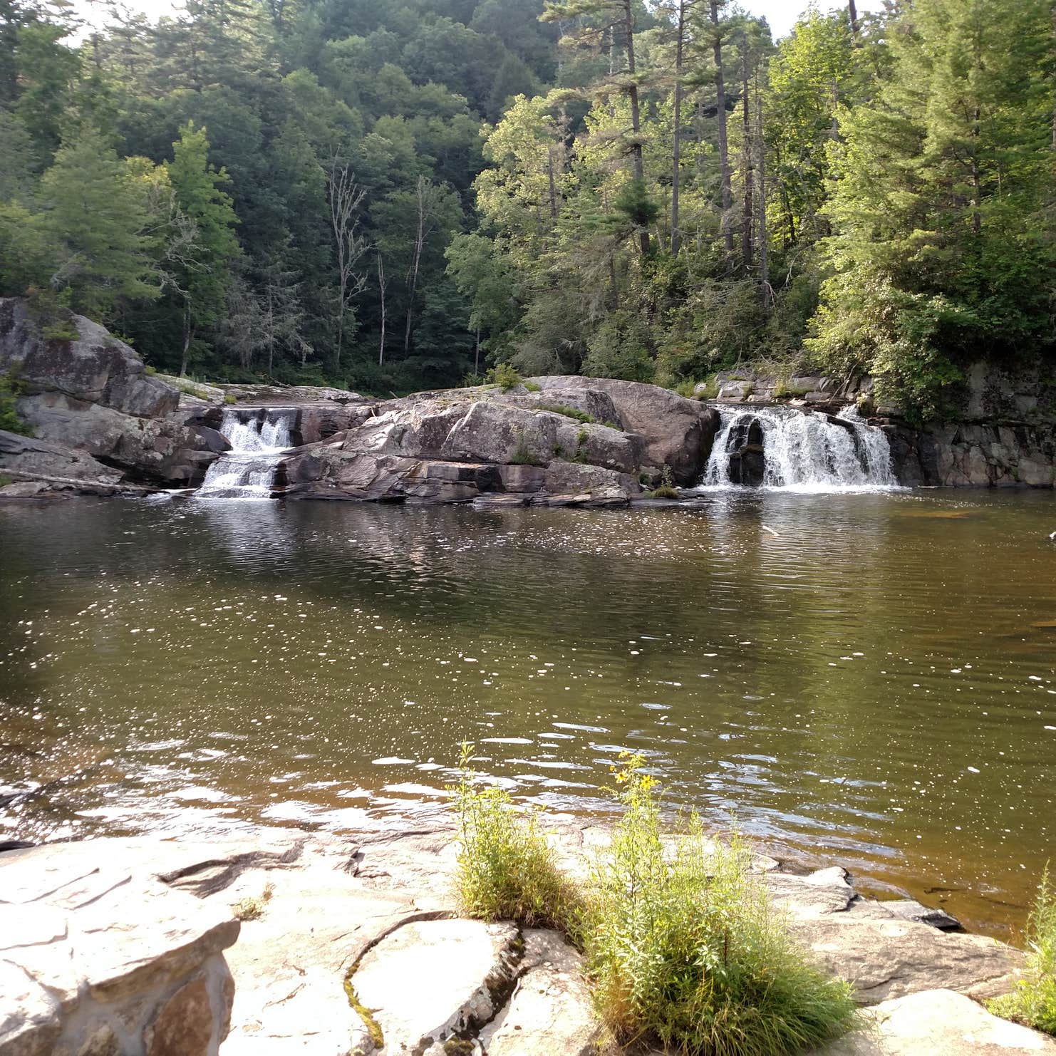 Linville Falls Campground Camping | The Dyrt