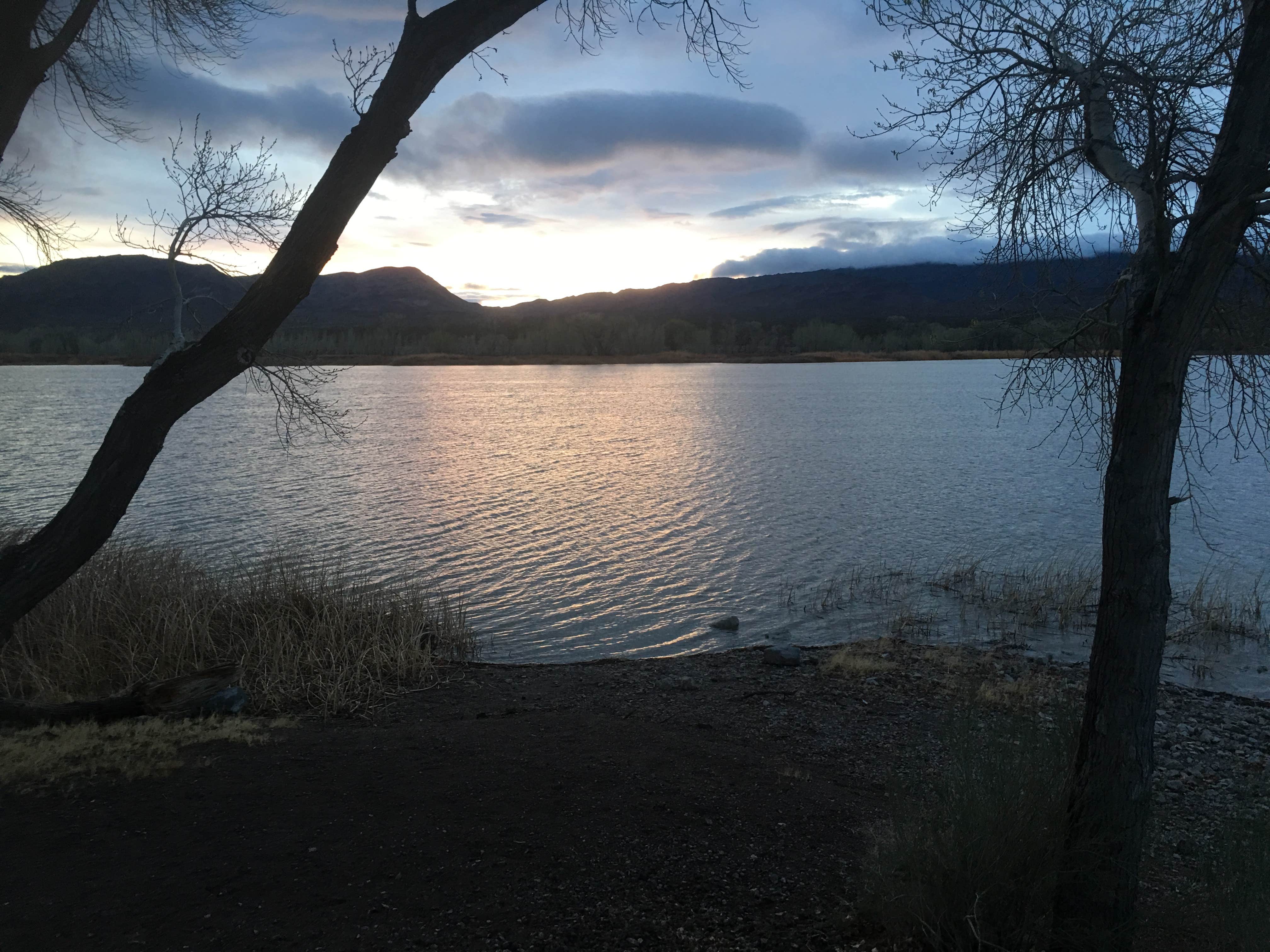 Camper submitted image from Upper Campground - Pahranagat National Wildlife Refuge - 4