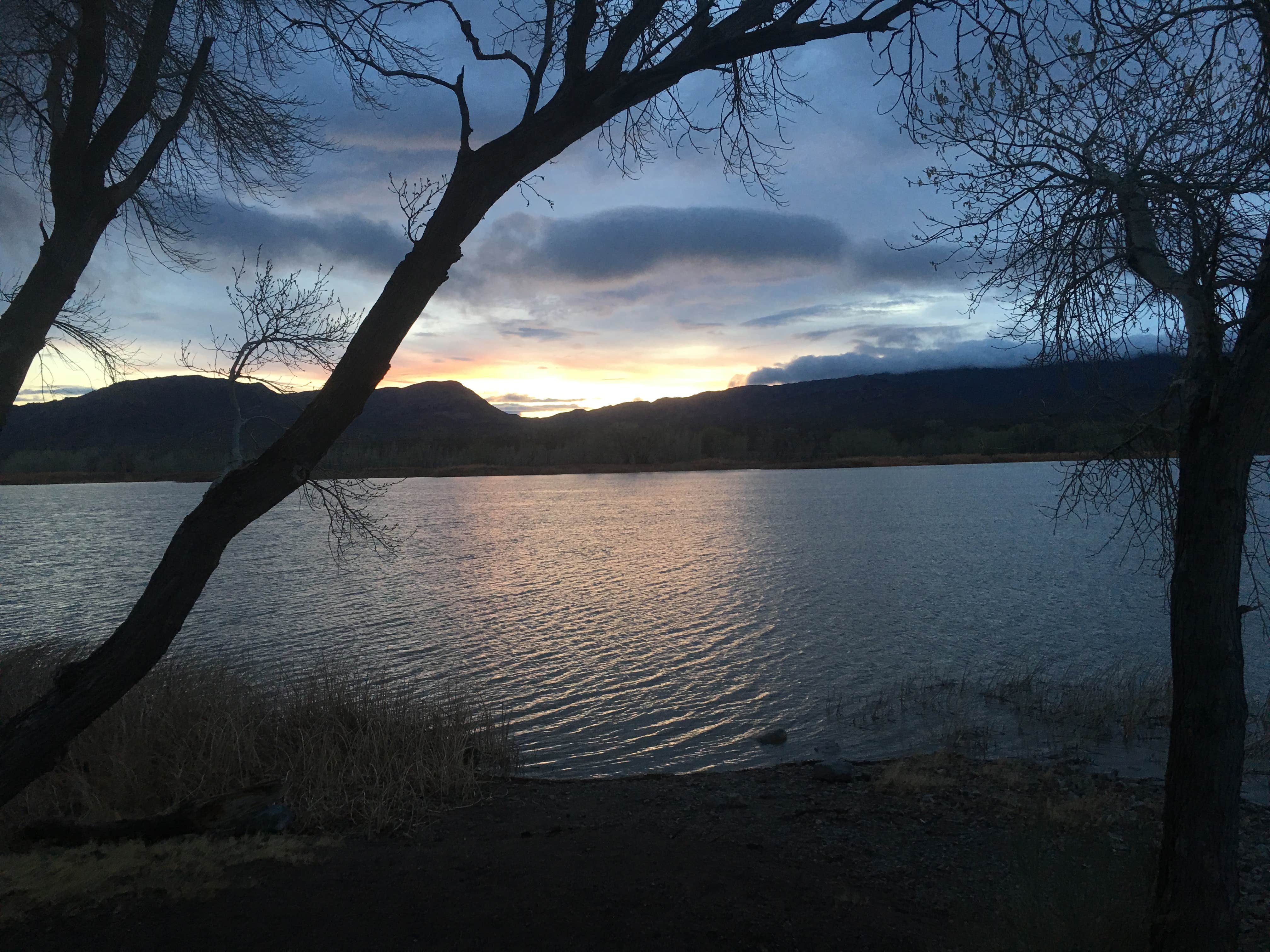 Camper submitted image from Upper Campground - Pahranagat National Wildlife Refuge - 2