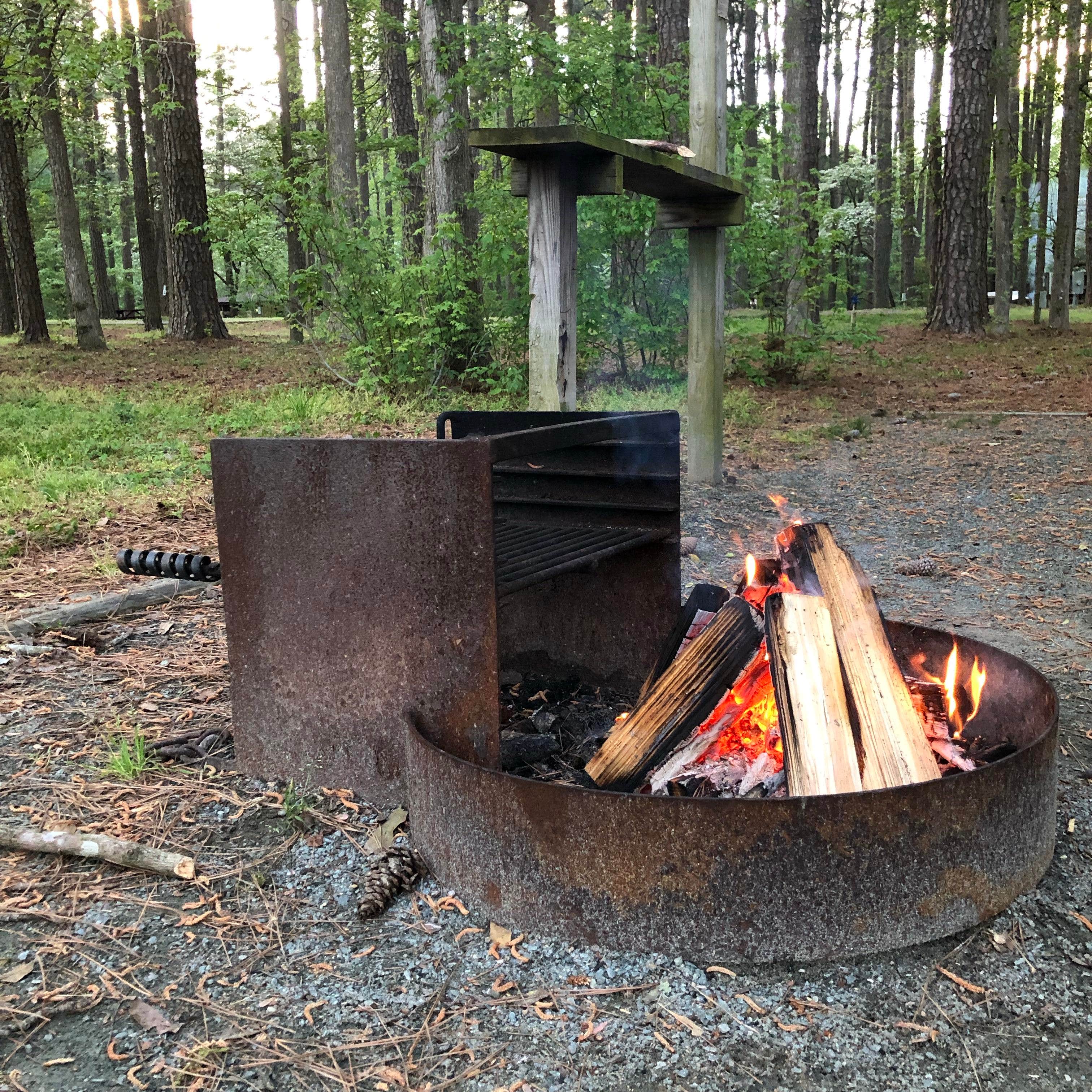 Camper-submitted photo at Milburn Landing Campground near Assateague Island National Seashore