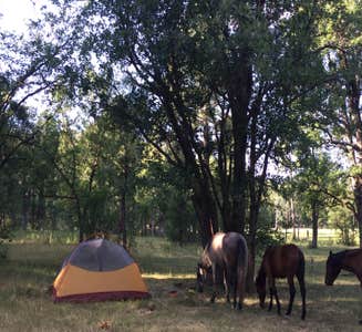 Camper-submitted photo from Los Burros Campground