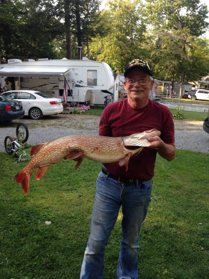 Camper submitted image from Birches Lakeside Campground - 3