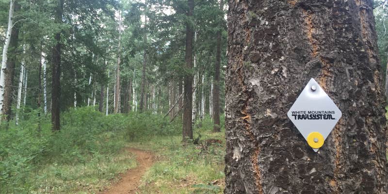 Camper submitted image from Los Burros Campground