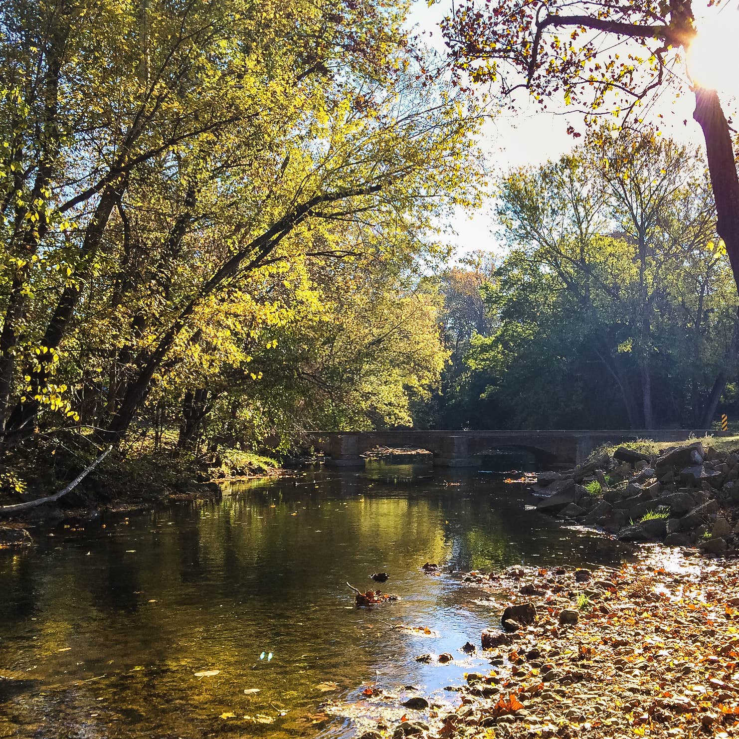 Creekside Campground Camping Edinburg, VA The Dyrt