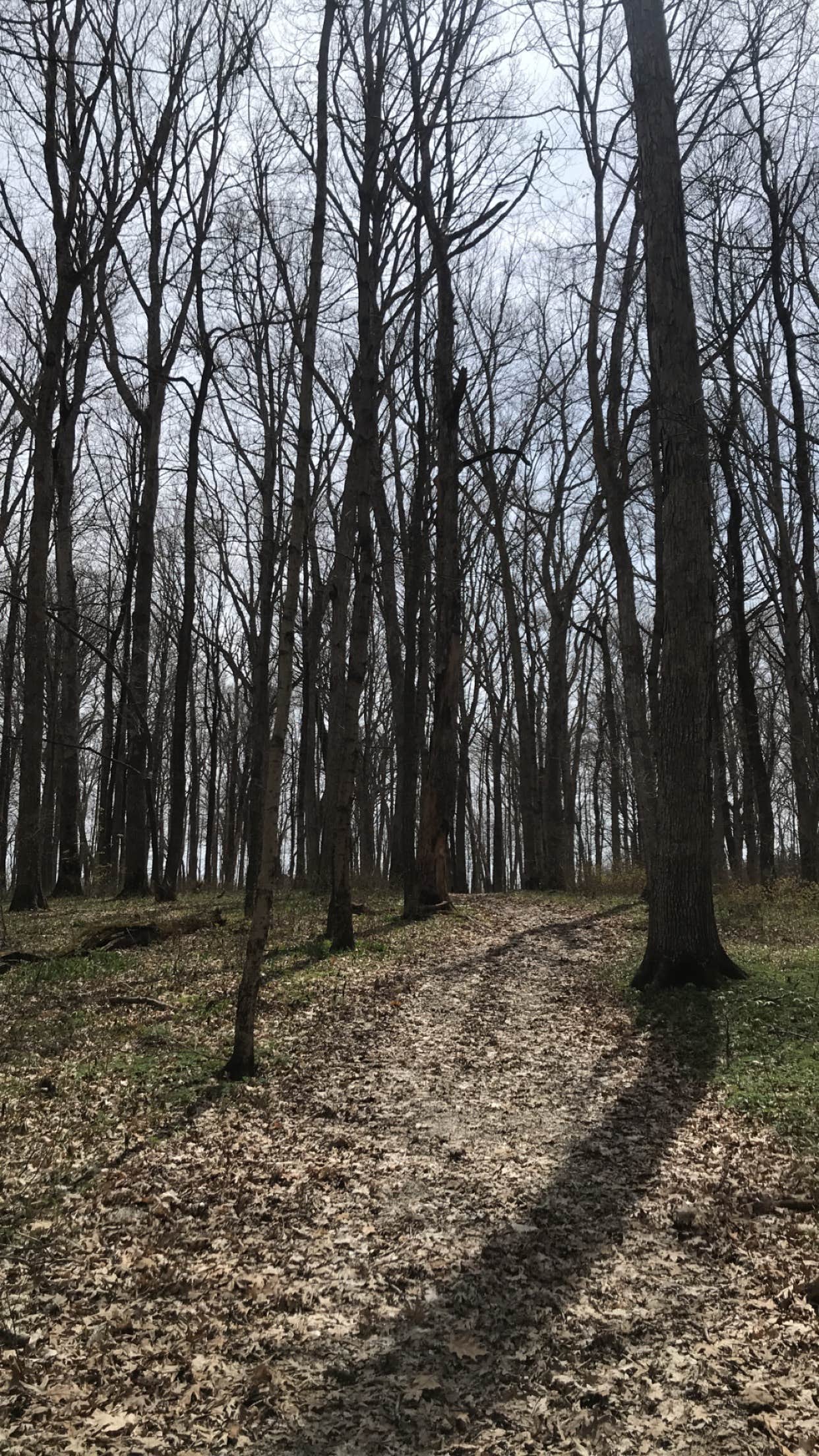 Camper submitted image from Moraine View State Recreational Area - 4