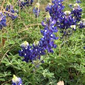 Review photo of Inks Lake State Park Campground by Mariah R., May 3, 2019