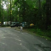 Review photo of Blue Hole Campground — Florida Caverns State Park by Sonyia W., May 3, 2019