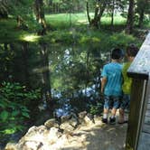 Review photo of Blue Hole Campground — Florida Caverns State Park by Sonyia W., May 3, 2019