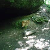 Review photo of Blue Hole Campground — Florida Caverns State Park by Sonyia W., May 3, 2019