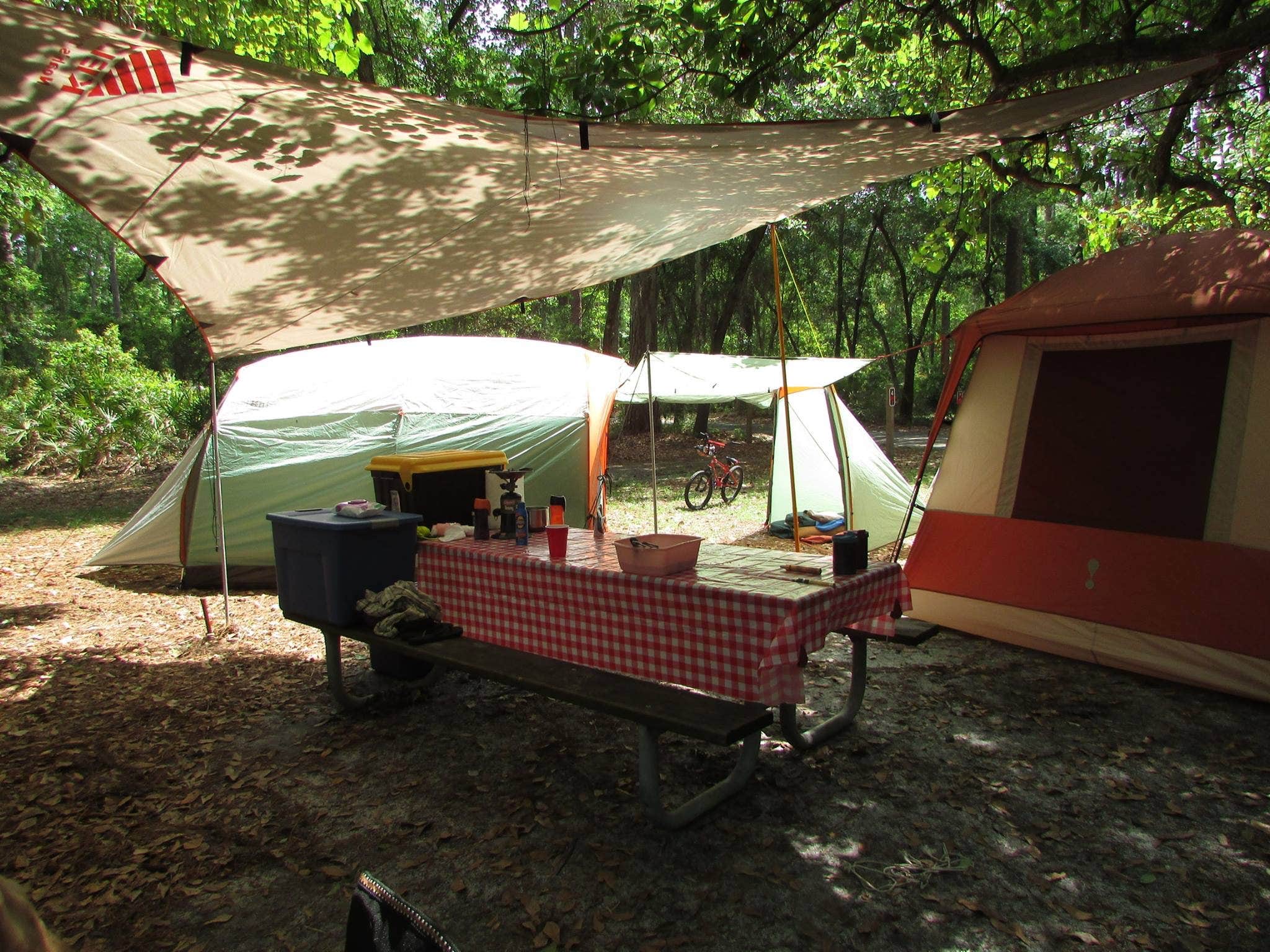 Camper submitted image from Stephen C. Foster State Park Campground - 4