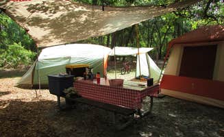 Sonyia W.'s photo at Stephen C. Foster State Park Campground near Lakeland, GA