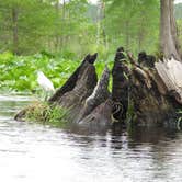 Review photo of Stephen C. Foster State Park Campground by Sonyia W., May 3, 2019