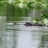 Review photo of Stephen C. Foster State Park Campground by Sonyia W., May 3, 2019