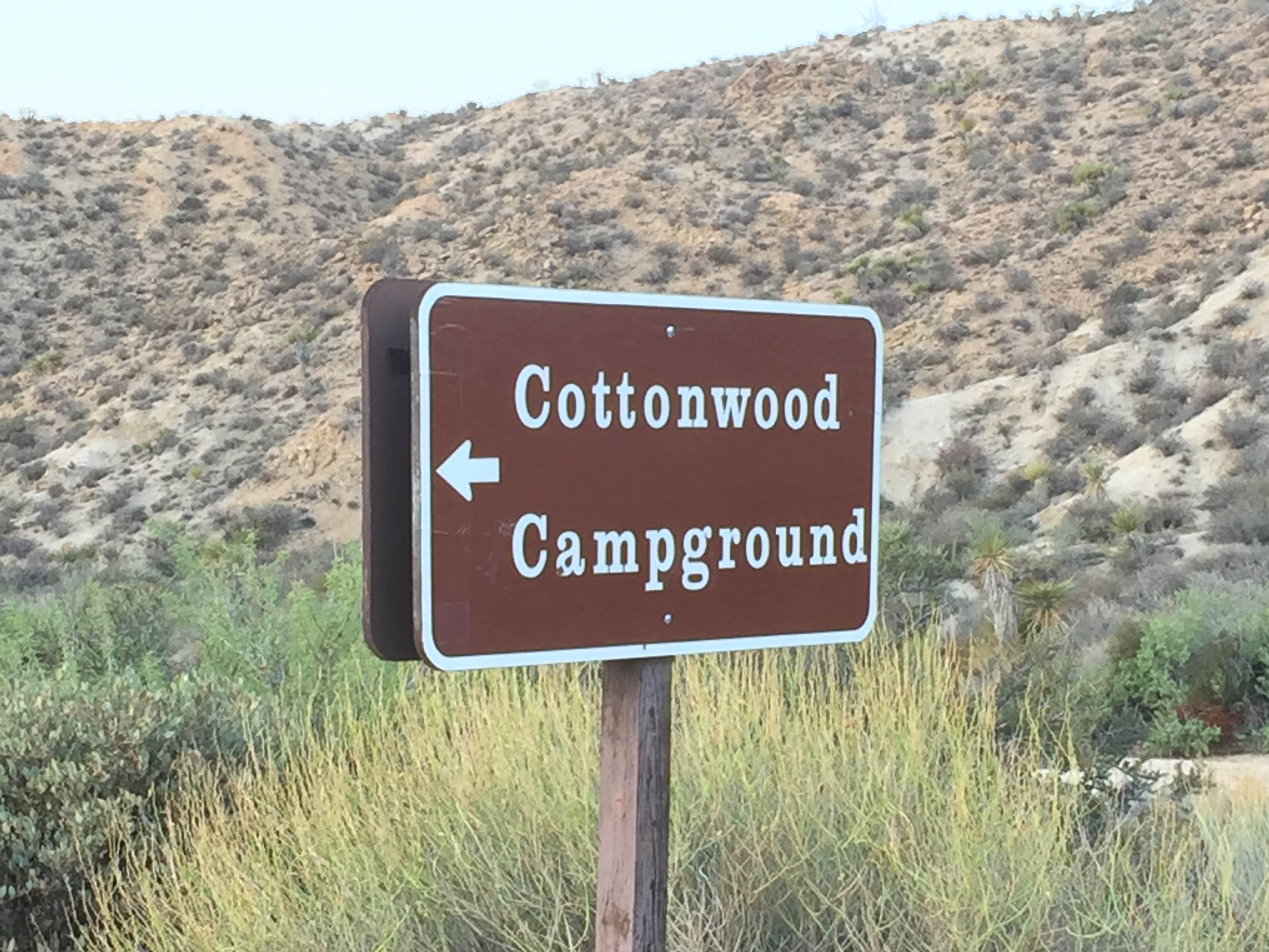 Camper submitted image from Cottonwood Campground — Joshua Tree National Park - 5