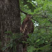 Review photo of Franklin D Roosevelt State Park Campground by Sonyia W., May 3, 2019