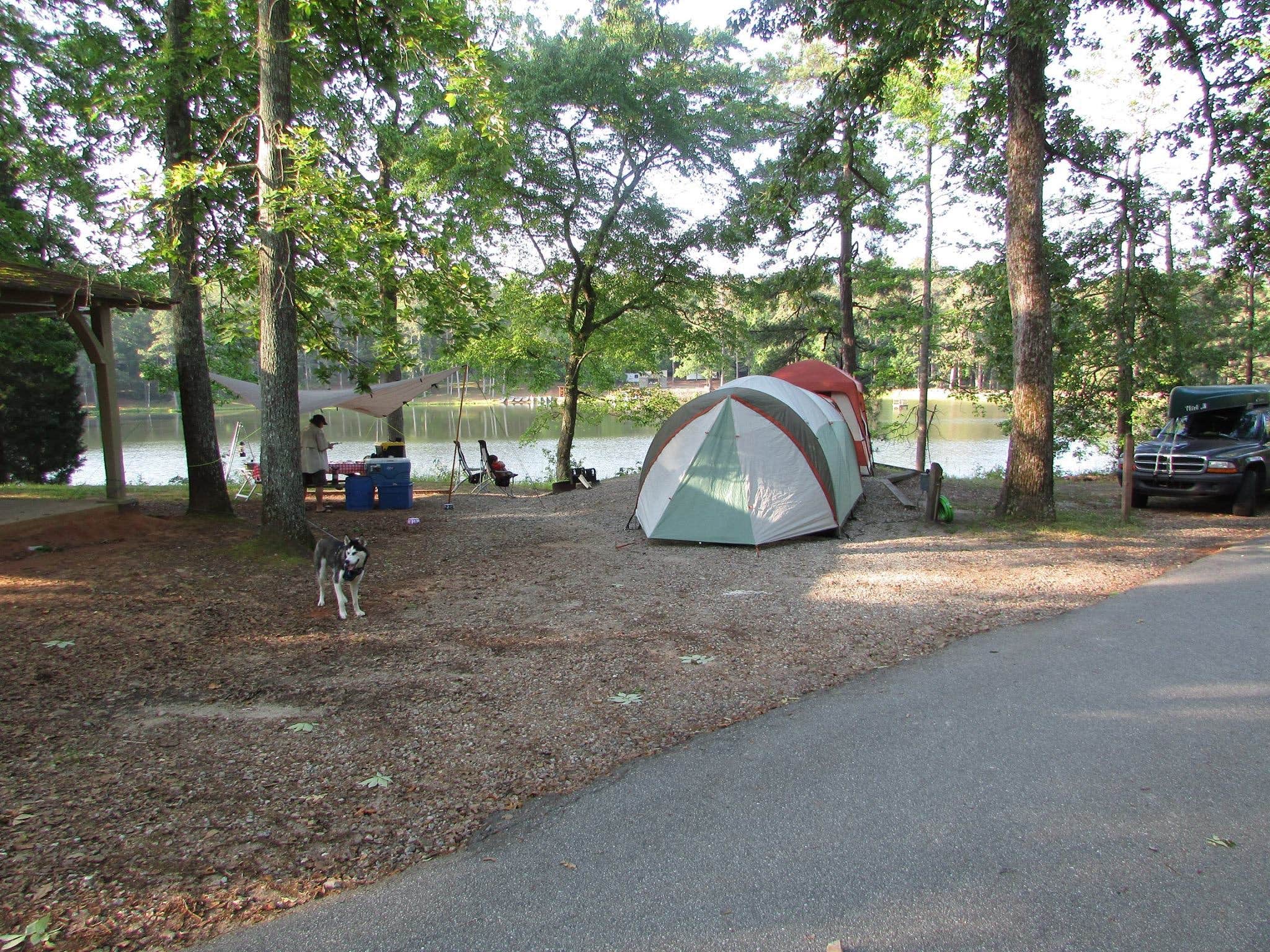 Sonyia W.'s photo of camping with pets at Franklin D Roosevelt State Park Campground near Wildwood, GA