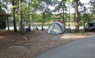 Sonyia W.'s photo of camping with pets at Franklin D Roosevelt State Park Campground near Columbus, GA